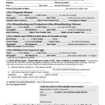 Dh Form 3075 Florida Wic Program Medical Referral Form Printable Pdf