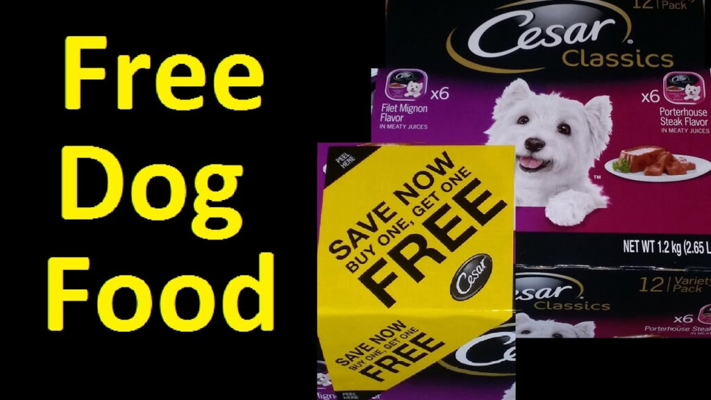 FREE Dog Food Cesar Dog Food Coupon Voucher I Got Over 2500 YouTube