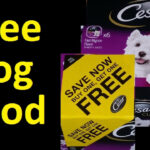 FREE Dog Food Cesar Dog Food Coupon Voucher I Got Over 2500 YouTube