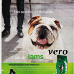 IAMS Dog Food 2009 BULLDOG Magazine Ad Print Clipping Beautiful On The