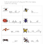 Insect Worksheets For First Grade Worksheets Master