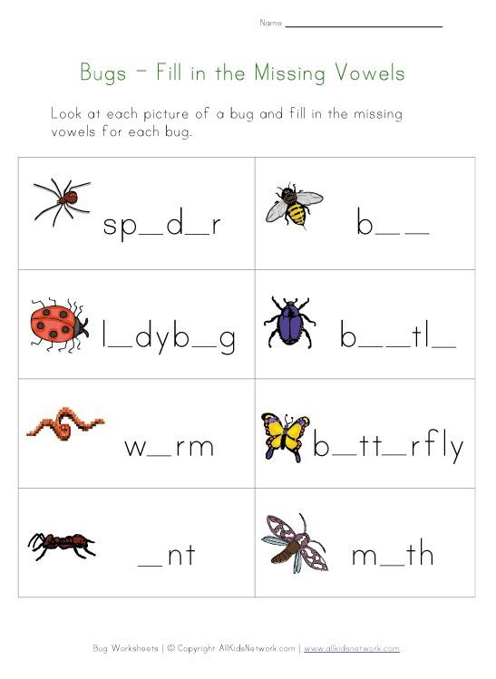Insect Worksheets For First Grade Worksheets Master
