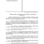 Nevada Financial Power Of Attorney Form Fillable PDF Free Printable