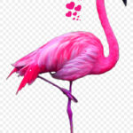 Pink Flamingo Png Download 818 1413 Free Transparent Flamingo Png
