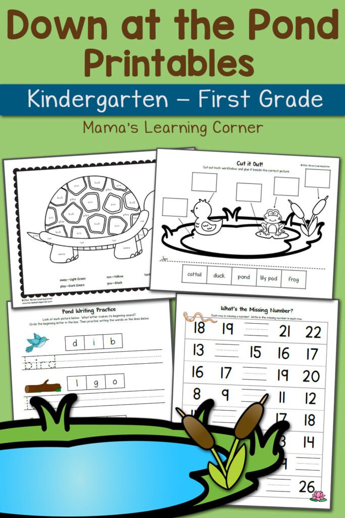 Pond Worksheets For Kindergarten And First Grade Updated For 2016 