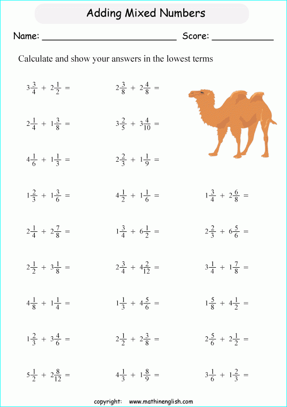 Primary 2 Worksheets