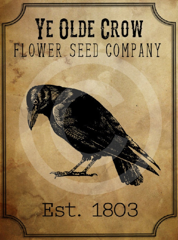 Primitive Old Crow Seed Company Printable Digital Feedsack