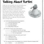 Talking About Turtles Grade 4 Close Reading Passage 2nd Grade