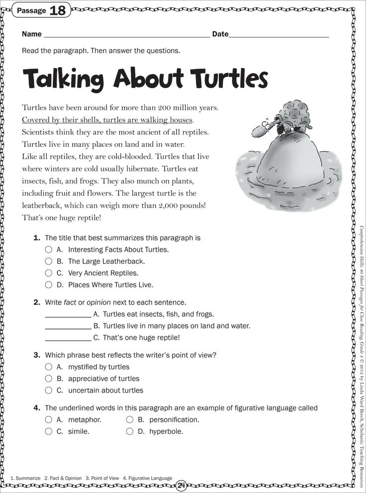 Talking About Turtles Grade 4 Close Reading Passage 2nd Grade