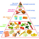 Toddler Food Pyramid First 1000 Days