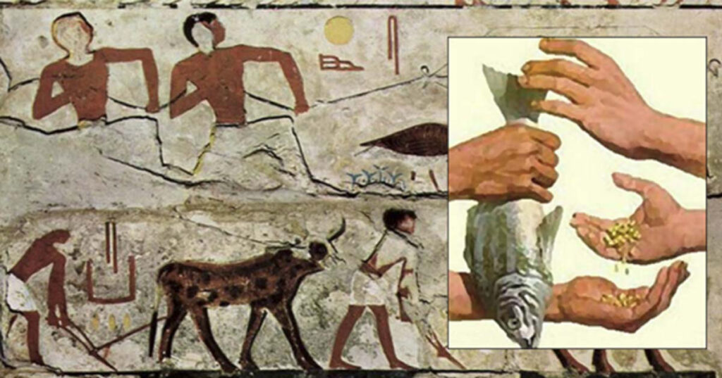 Trading And Agriculture In Ancient Egypt RLA ASPIRE